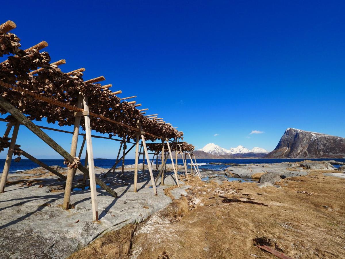 فيلا Vestfjorden Panorama Lofoten Valberg المظهر الخارجي الصورة