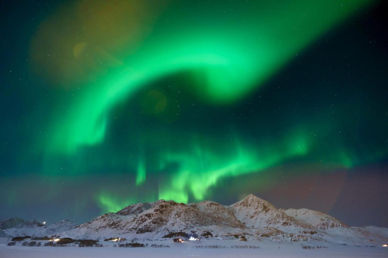 فيلا Vestfjorden Panorama Lofoten Valberg المظهر الخارجي الصورة